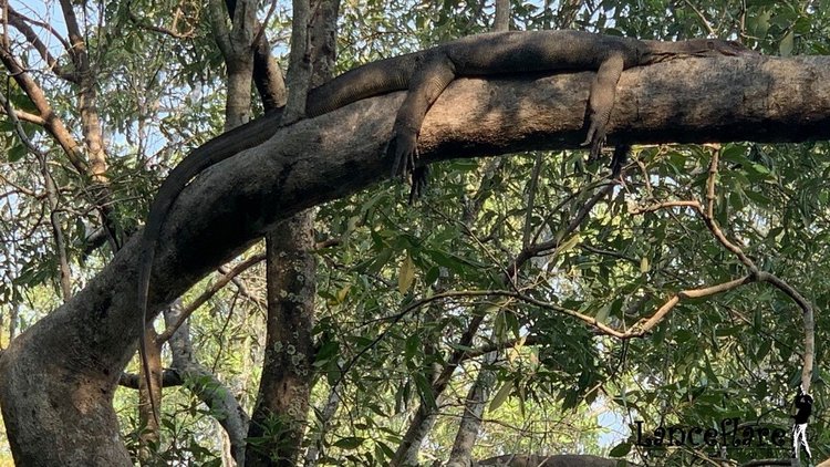 Любителям природы - профессиональные фотографии (выпуск 4)
