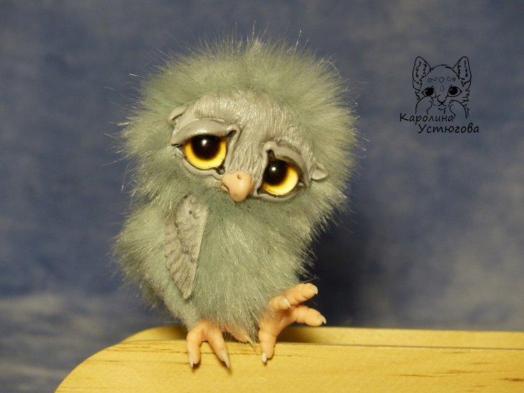 Совята в ожидании Новогодних праздников