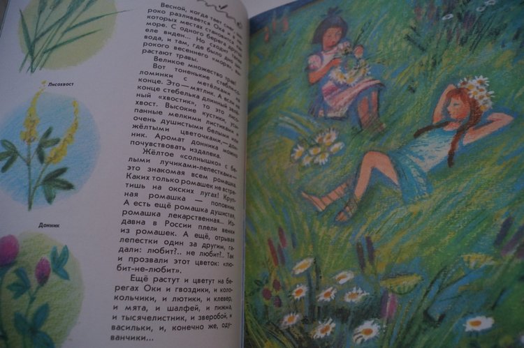 Мои книги детства и юности