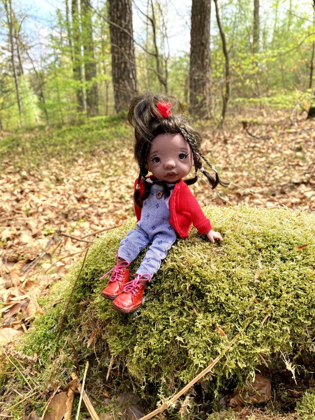 Фотоистории с куклами BJD (БЖД): сериалы (фото 10)