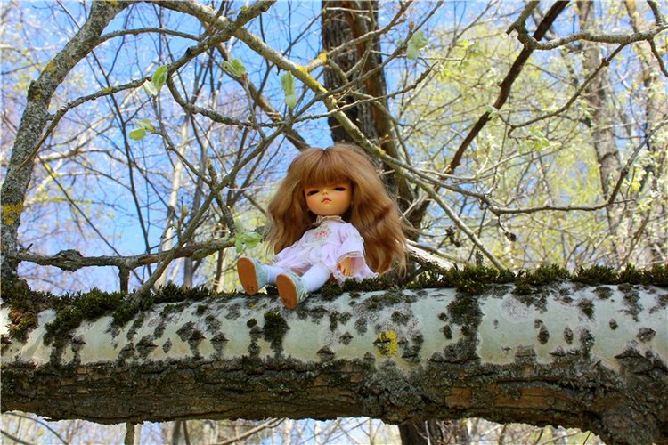 Путешествие Софи в Старицу, продолжение. Lati HoneyBee New Mystic Sophie