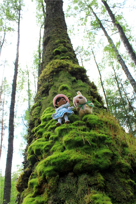 Ландышевый Лес. Twinkles Ella Chocolate