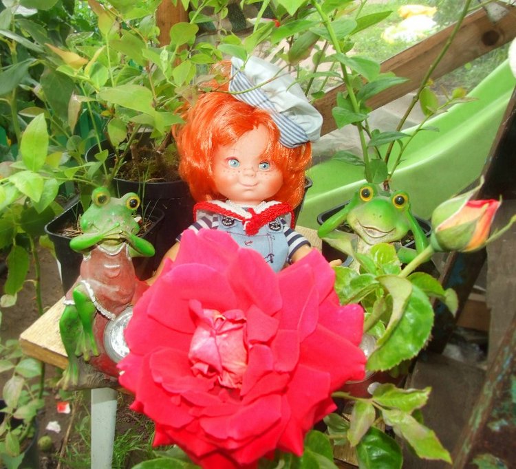 От сердца и почек дарю вам цветочек (фото 9)