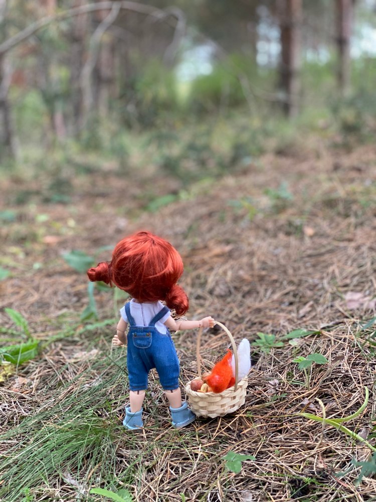 Как Варя ходила за грибами. Fabbi Chibbi Meadow dolls | Бэйбики Как Варя ходила за грибами. Fabbi Chibbi Meadow dolls