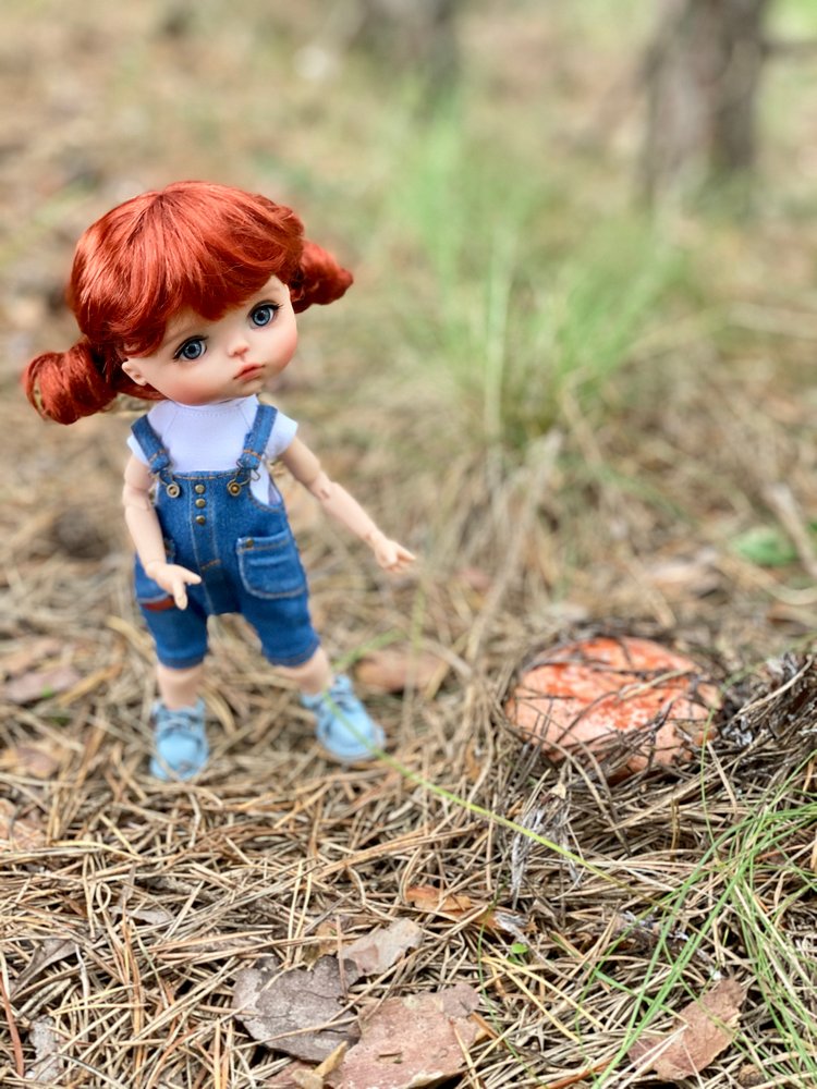 Как Варя ходила за грибами. Fabbi Chibbi Meadow dolls | Бэйбики Как Варя ходила за грибами. Fabbi Chibbi Meadow dolls (фото 9)