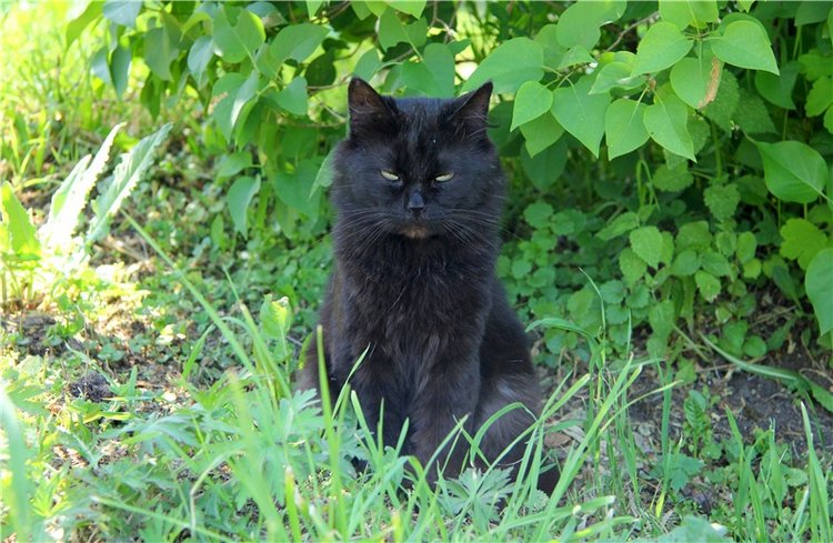 Сентябрьское путешествие в Старицу, третья часть