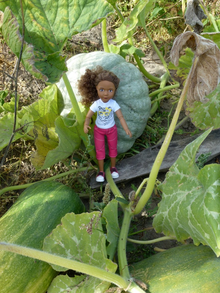 Отдых в деревне с Джой — Туризм и путешествия: фотоотчеты из поездок