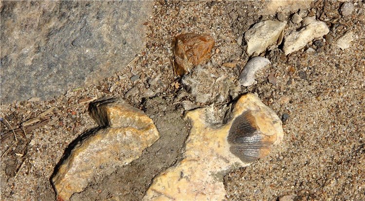 Сентябрьское путешествие в Старицу, третья часть