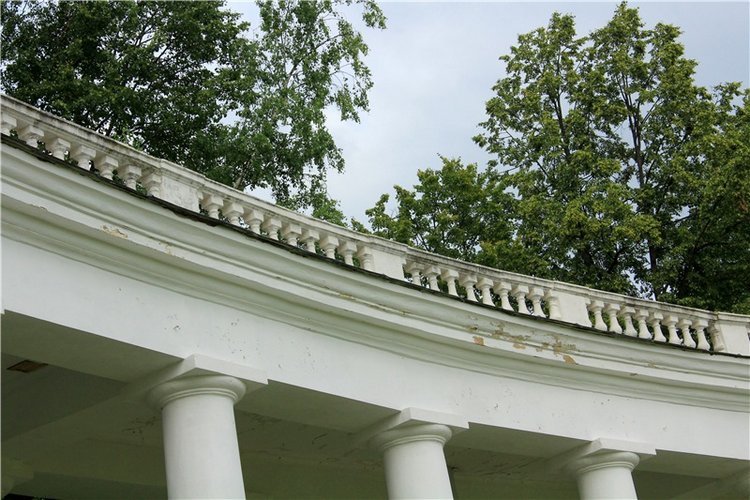 Путешествие Виолы в Усадьбу Знаменское-Раёк