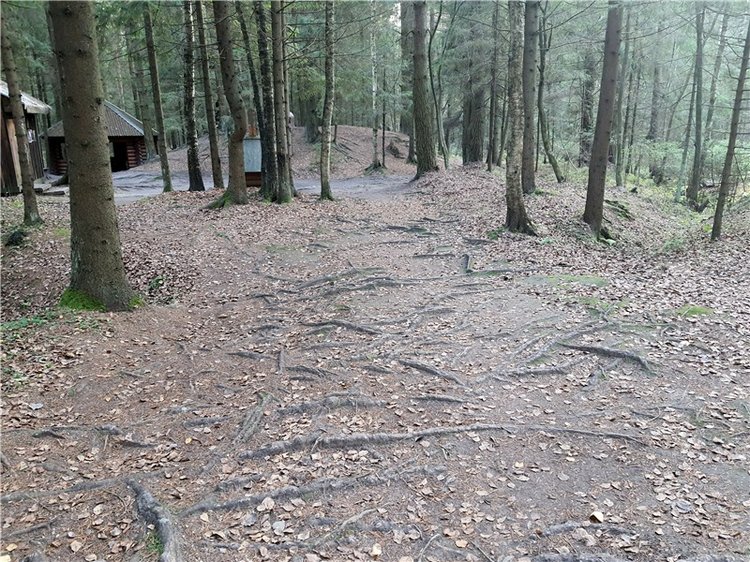 Путешествие по Святым местам Тверской области (фото 7)