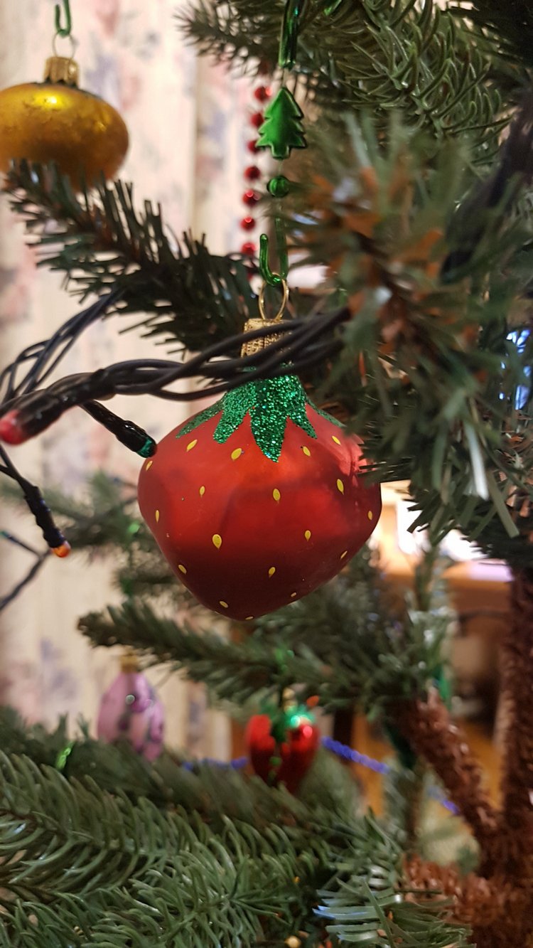 В степи родилась ёлочка, в жару она росла