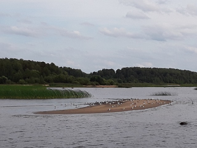 Большое путешествие маленького Басика