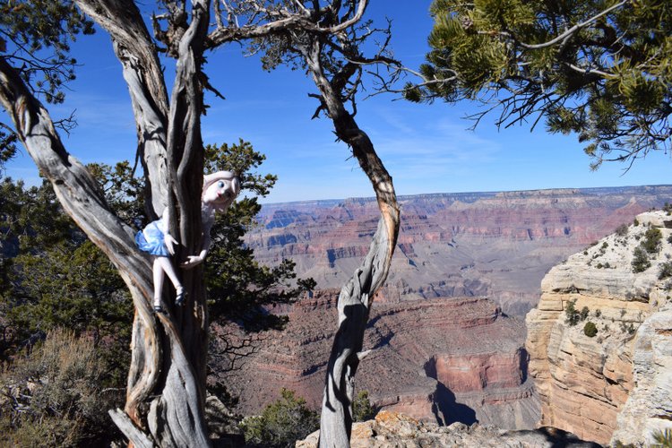 Моё сердечко — Разные шарнирные куклы (не БЖД): редкие (фото 7)