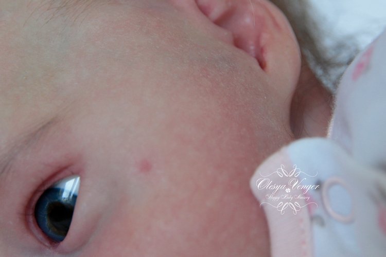 Тинк, мой любимый птенчик. Кукла реборн Венгер Олеси