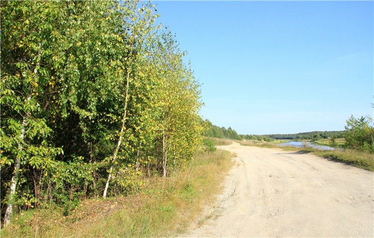 Инопланетянка Нийя. Custom Blythe Doll UFO Go Go Takara