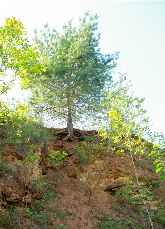 Инопланетянка Нийя. Custom Blythe Doll UFO Go Go Takara