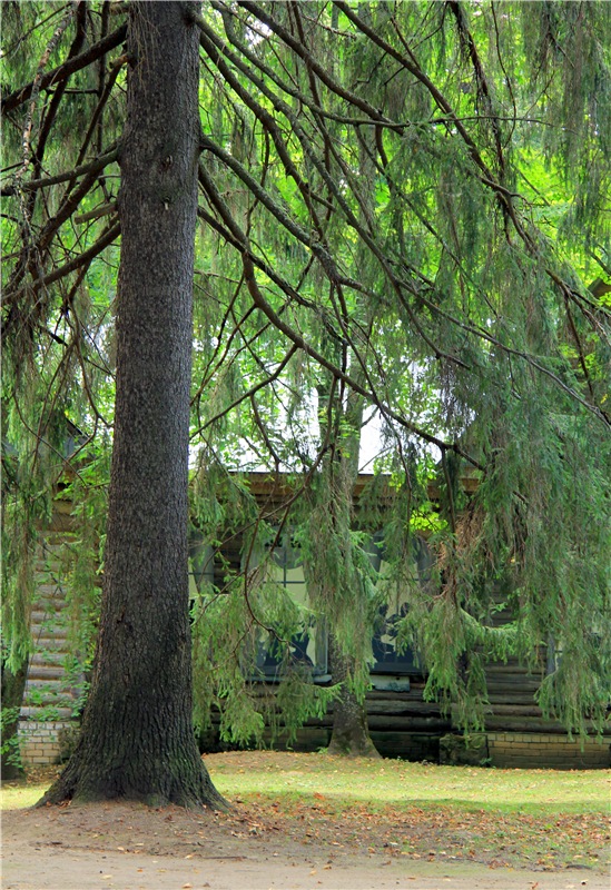 Августовская прогулка в Берново. Zwergnase Mischa