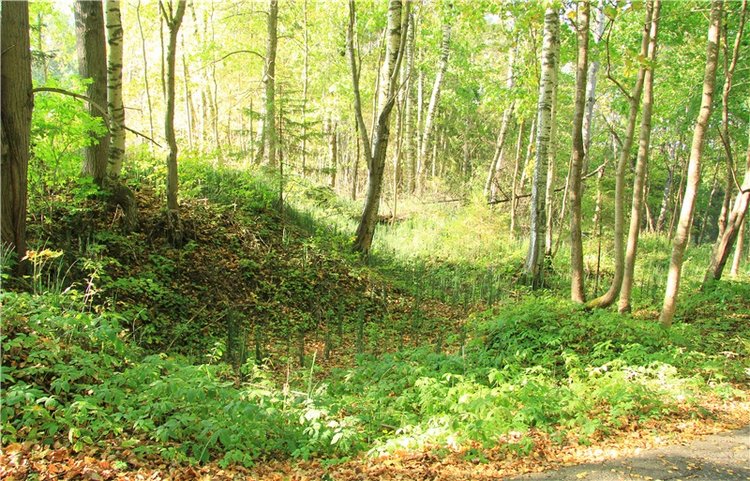 Нийя. Воспоминание об осени, Чукавино, Эко-Лэнд