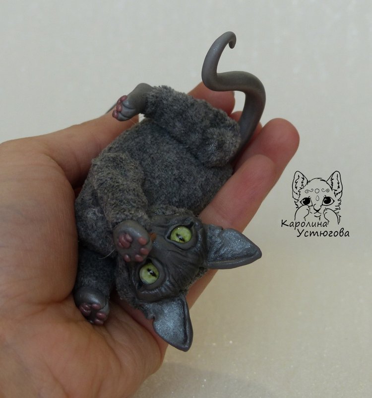 Миниатюрные серые Сфинксы (фото 7)
