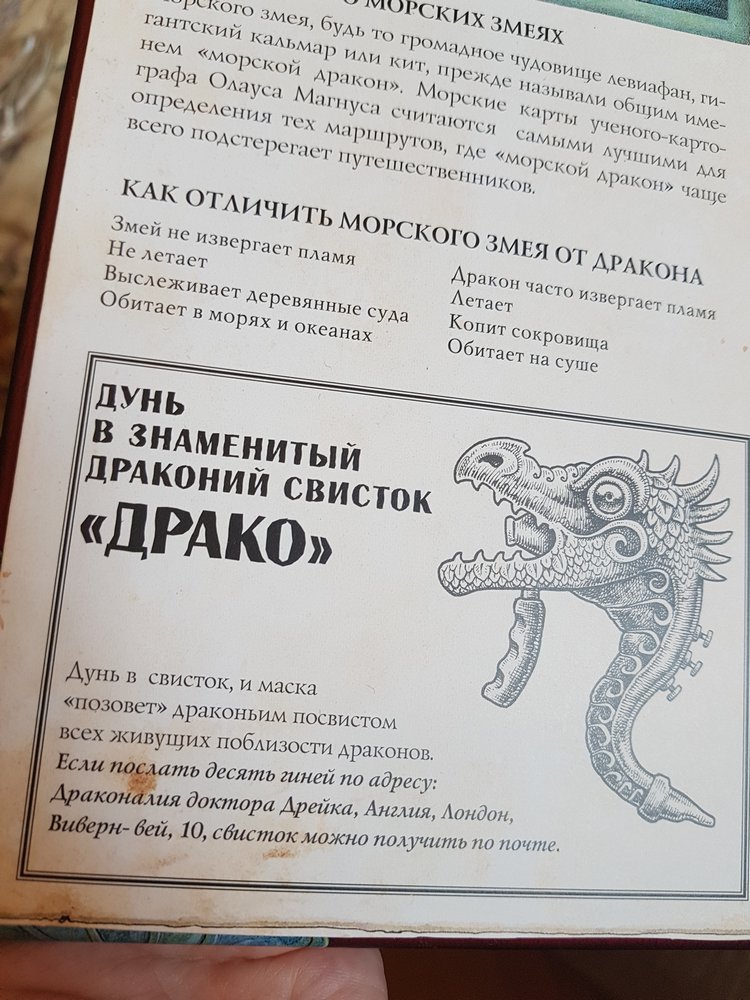 Шкаф в мою личную Нарнию | Бэйбики Шкаф в мою личную Нарнию — Болталка и разговоры обо всем: жизнь