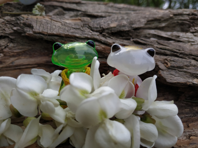 Wonderfrog. Красота в простоте