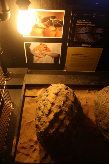 Петербург. Музей НЕправды (18+). Часть 1