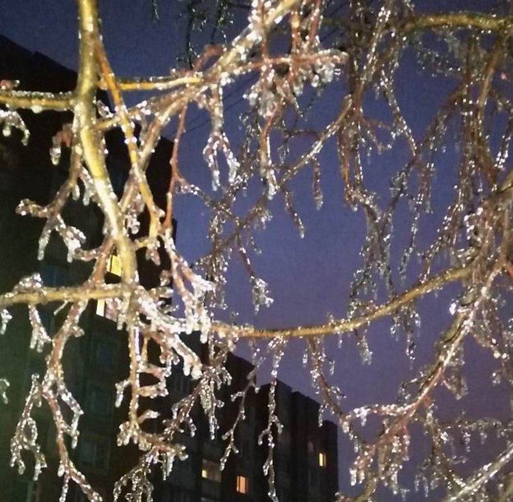 Ледяная красота на католическое Рождество в Чебоксарах, ловим солнечного зайчика... много фото | Бэйбики Ледяная красота на католическое Рождество в Чебоксарах, ловим солнечного зайчика... много фото (фото 10)