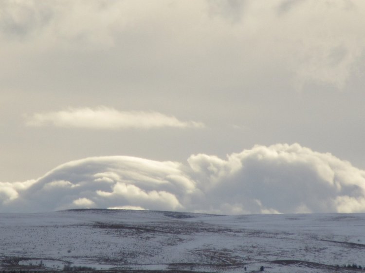 Кисловодские приключения. Шо, опять