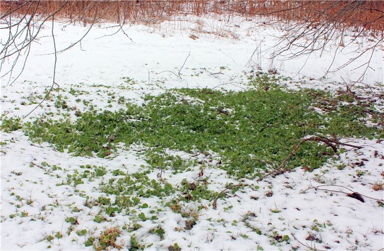 Путешествие в первый день Весны (фото 9)