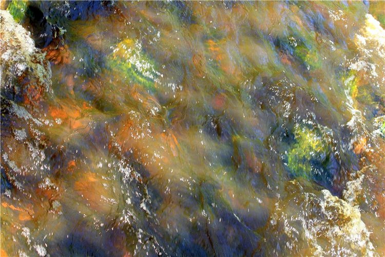 Затерянный Мир — Красивая природа и цветы: фото пейзажей