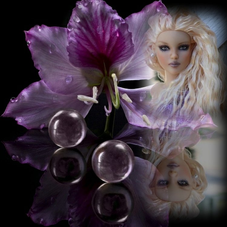 Мои Тоннерки. Фотозарисовки