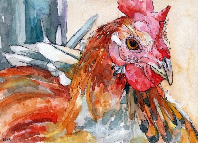 TheColorfulCatStudio - Иллюстрированная фауна by Rachel Byler