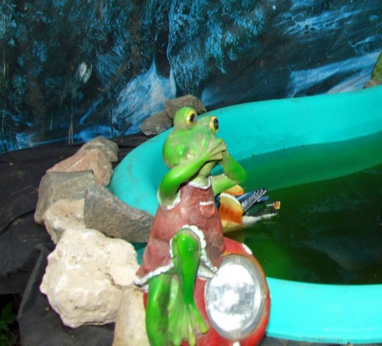 Болотные страсти!... Последние штрихи подготовки к августфесту (фото 7)