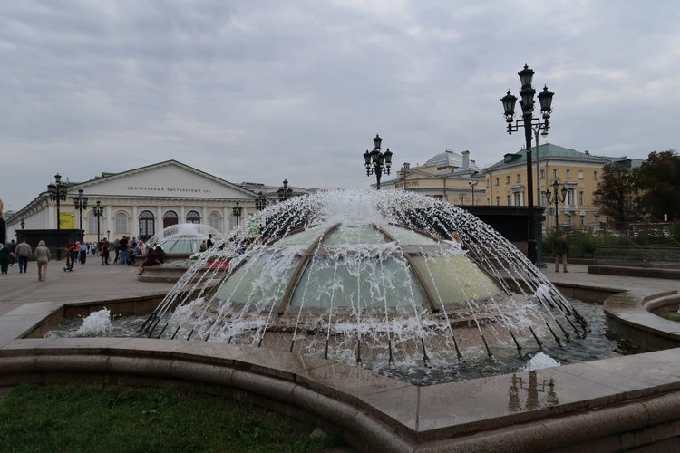 Знакомьтесь, новый вид медведей - медведь сумочный
