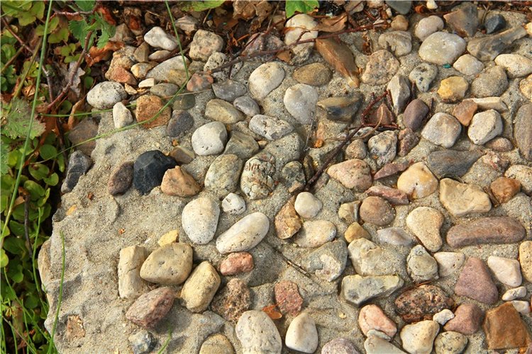 Путешествие Виолы в Усадьбу Знаменское-Раёк