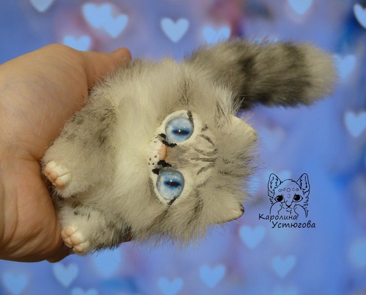 Котята Охос азулес. Чарующие глаза