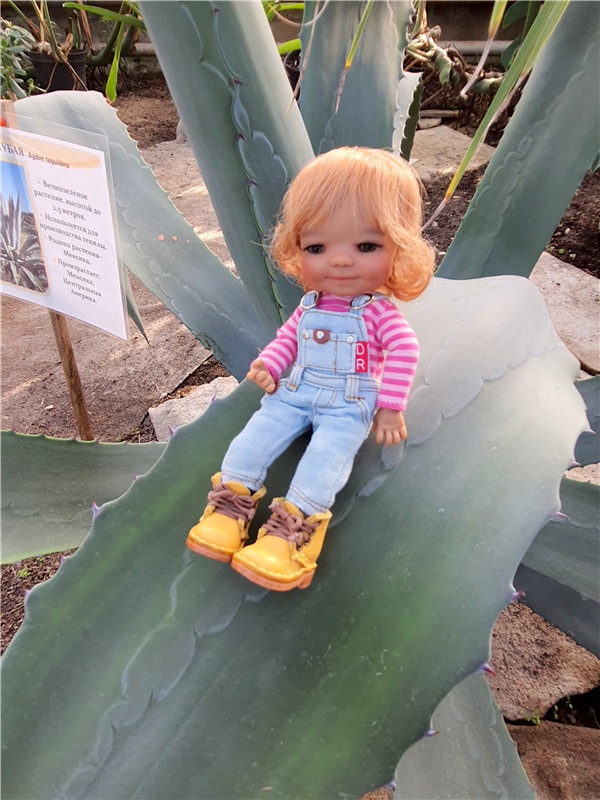 Выставка тюльпанов в Твери, продолжение