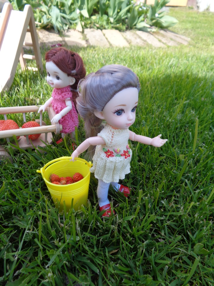 Любимки в деревне — Куклы Baboliy (Баболи (фото 10)