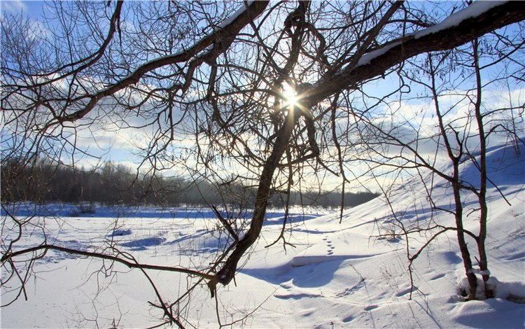 Зимняя прогулка Сони. Уникальная кукла от Сильвии Наттерер