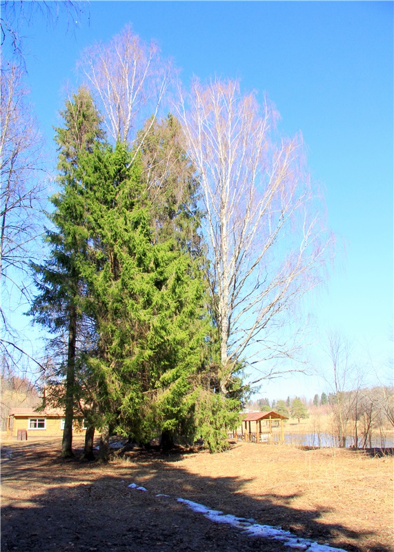 Апрельский день в Василёво, третья часть (фото 3)