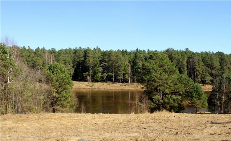 Апрельский день в Василёво, третья часть