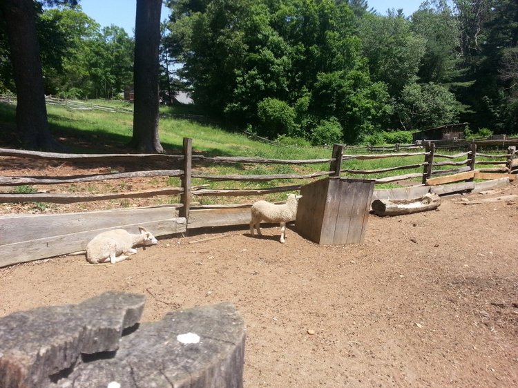 Прокатимся на машине времени? Поселение Старбридж. Новая Англия. 1830 год