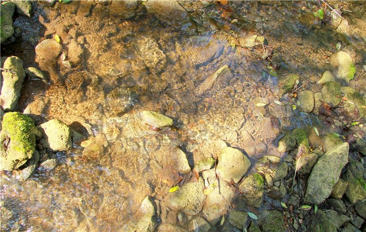 Старицкая Швейцария. Путешествие с Сашей, продолжение. Уникальная кукла от Сильвии Наттерер