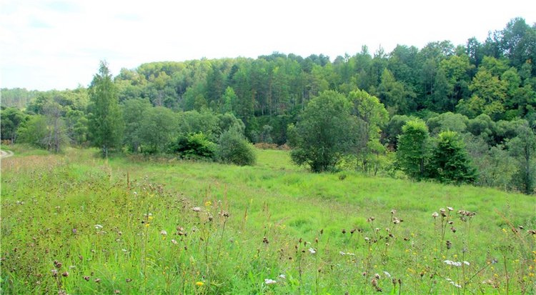 Старицкая Швейцария. Путешествие Мии. Minifee Miyu FairlyLand | Бэйбики Старицкая Швейцария. Путешествие Мии. Minifee Miyu FairlyLand
