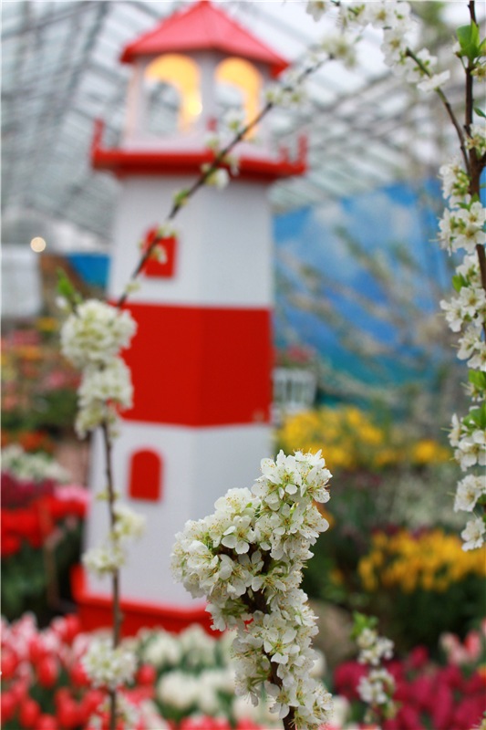 Тюльпановый Рай. Выставка тюльпанов в Твери. Mini Layla elf Sunkissed skin от Kaye Wiggs (фото 7)