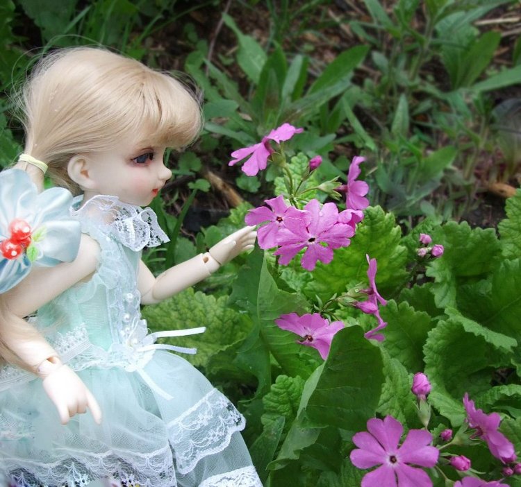 После дождичка в саду) — Красивая природа и цветы: фото пейзажей (фото 7)