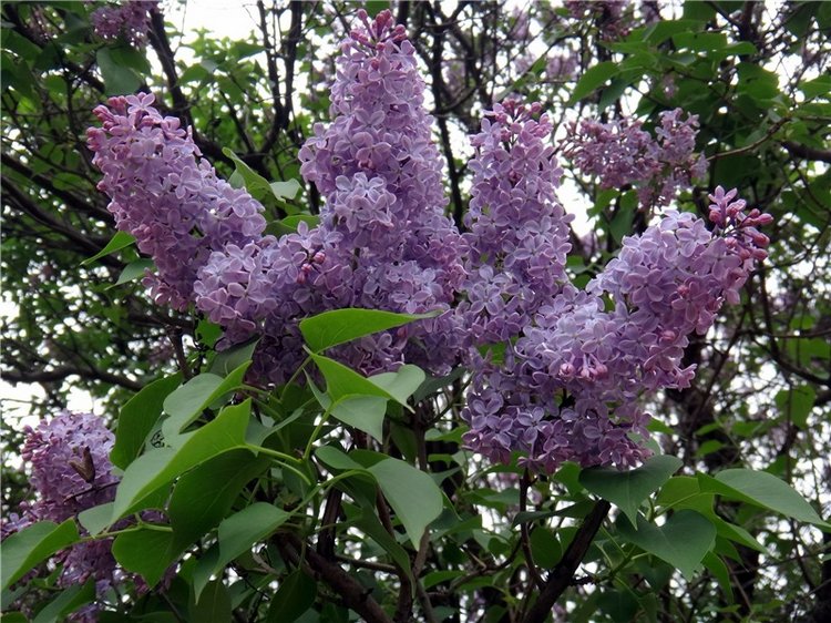 Милый мой город. Прогулка по Твери, продолжение