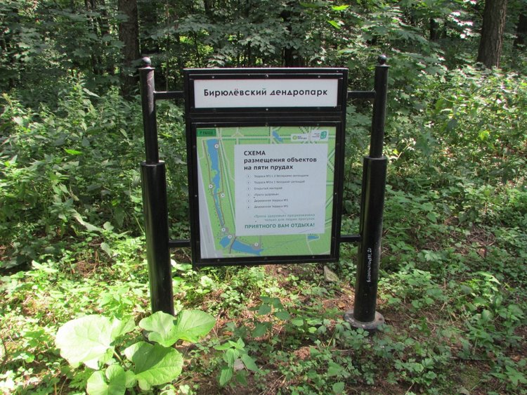 Малышня на прогулке в Бирюлёвском дендропарке