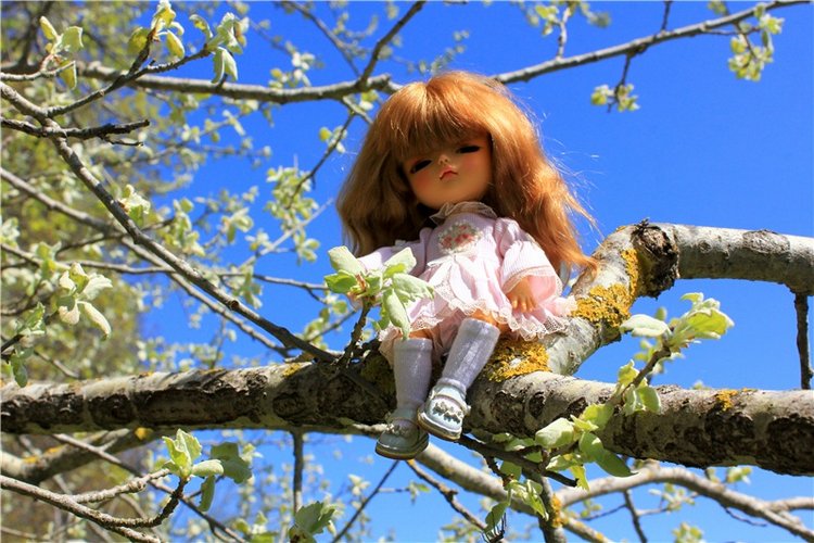 Путешествие Софи в Старицу, продолжение. Lati HoneyBee New Mystic Sophie