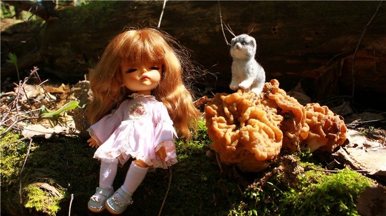 Путешествие Софи в Старицу. Lati HoneyBee New Mystic Sophie